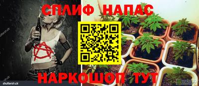 каннабис Ставрополь