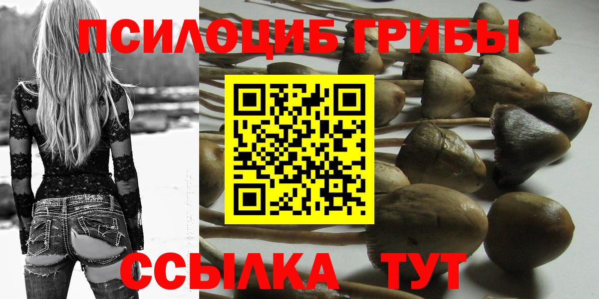 Псилоцибиновые грибы Cubensis Нововоронеж