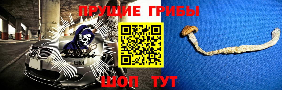 даркнет сайт  Галлюциногенные грибы Cubensis  Вход с VPN  Нововоронеж 